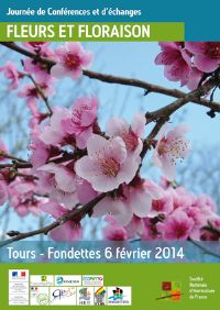 Conférences et échange Fleurs et Floraison. Le jeudi 6 février 2014 à Tours-Fondettes. Indre-et-loire.  08H30